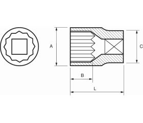 Vasos bi-hexagonales de 1/2